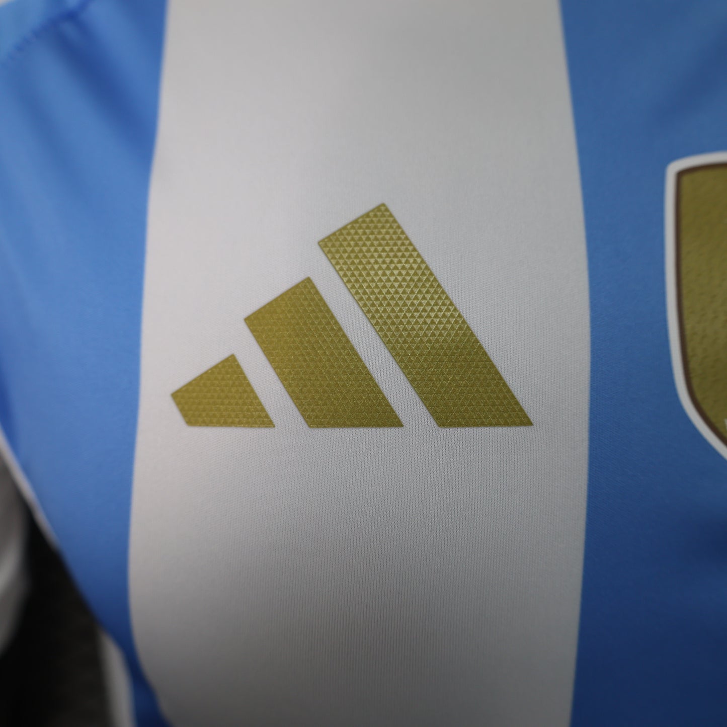 2024 Home Jersey Player Version Argentina