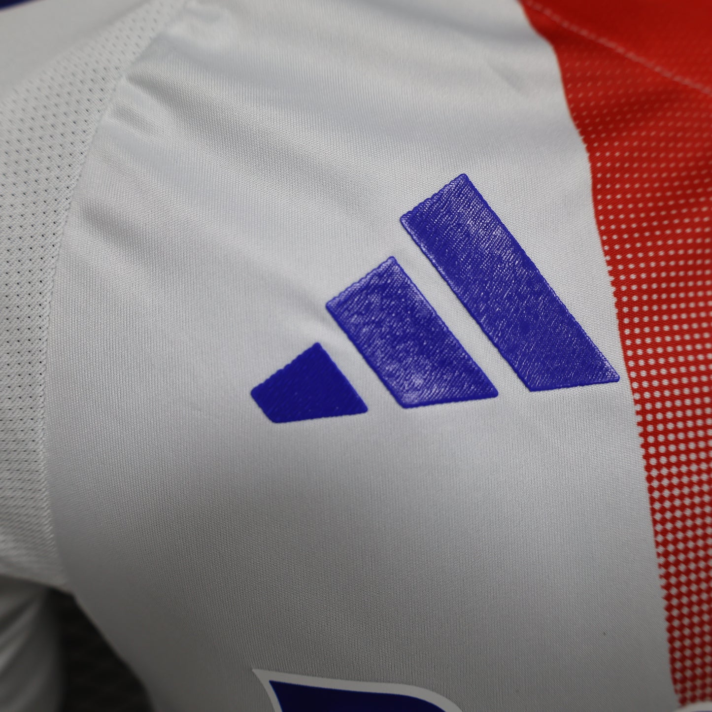 24/25 Home Jersey Player Version Olympique Lyon