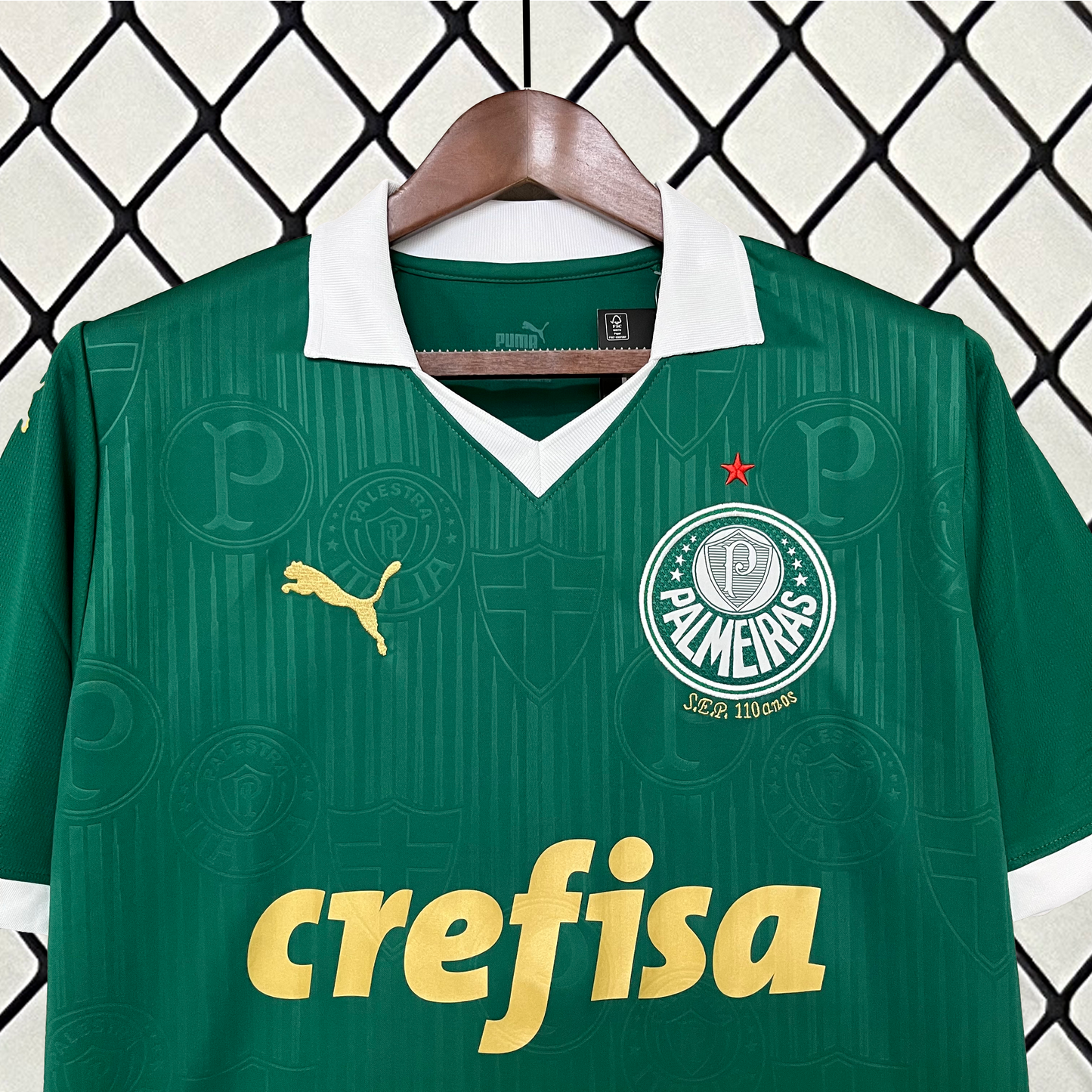 24/25 Home Jersey Palmeiras